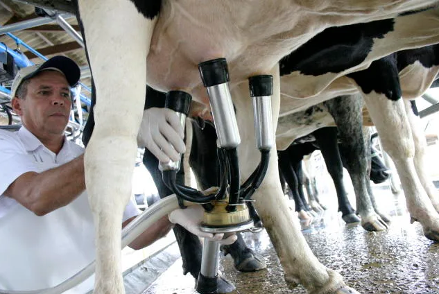 Pesquisa desenvolveu métodos inovadores para redução de lactose no leite