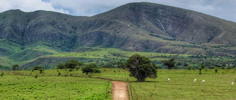 Serra da Miaba I vira Unidade de Conservação em São Domingos