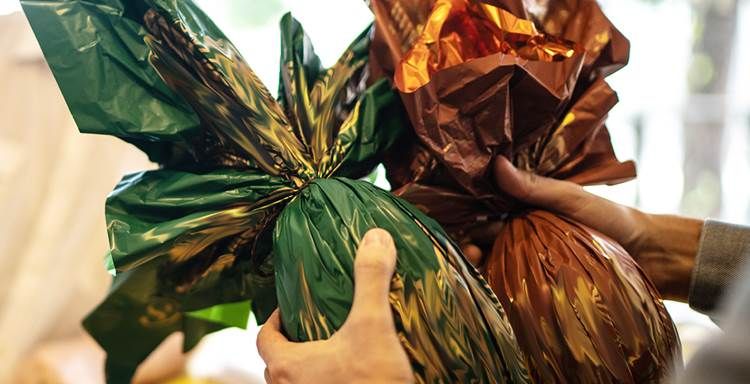 Páscoa Solidária Arrecada Chocolates Para O Centro De Integração Raio De Sol Sergipe Notícias