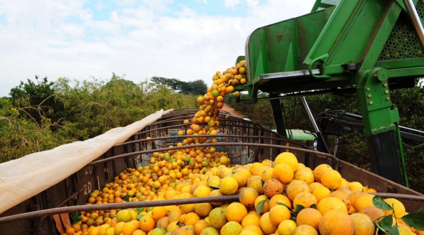 Suco de laranja foi responsável por 68,5% das exportações em Sergipe