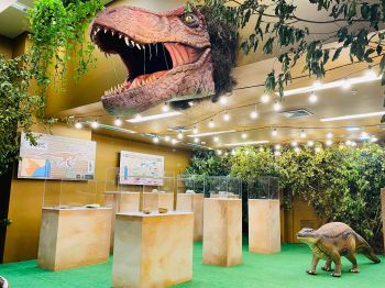 Expo Fósseis acontece nos shoppings Jardins e RioMar Aracaju