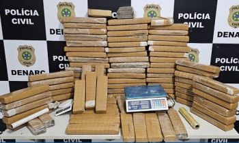 Polícia apreende 82 quilos de maconha em Aracaju