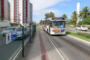 Aracaju terá ônibus de graça no domingo