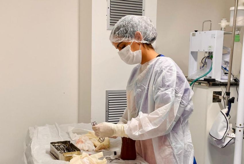 Aracaju afirma avançar nos estudos para implantação de hospital veterinário público