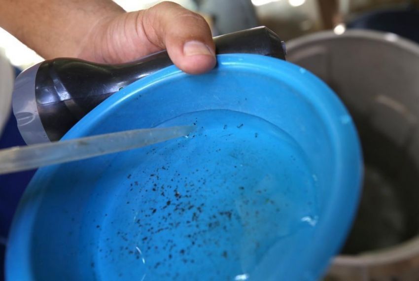 Bairros de Aracaju deixam zona de alto risco do Aedes aegypti