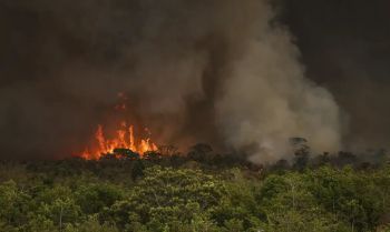 Queimadas fazem desmatamento crescer 92% na Amazônia em maio