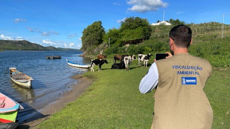 Ocupação irregular de Área de Preservação Permanente é identificada durante fiscalização em Poço Redondo