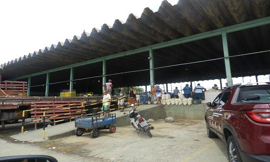Ceasa Aracaju abre no próximo domingo, dia 22