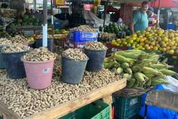 Ceasa de Aracaju terá horário especial neste domingo