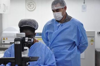 Fiocruz descobre nanopartícula que pode combater o câncer de mama