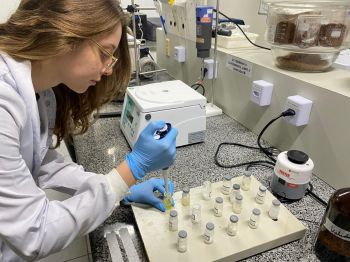 Cristais do óleo da “acácia-branca” podem ser usados em cosméticos e remédios