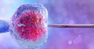 IA contribui para maior precisão da reprodução assistida, apesar de barreiras