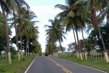 Pesquisa CNT 2025 aponta avanço no Nordeste; Alagoas e Sergipe tem melhores estradas da região