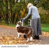 Cerca de 300 mil idosos brasileiros têm algum grau de TEA, diz estudo