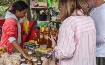 Catadoras de mangaba resistem à especulação imobiliária em Aracaju