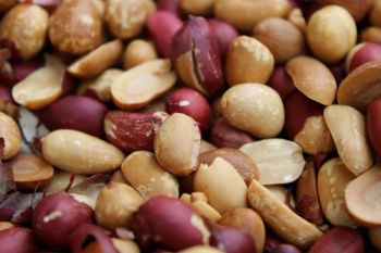 Comer amendoim pode beneficiar o cérebro, sugere pesquisa