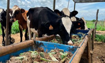Sergipe recebe Rally Forrageiras no dia 11 de agosto