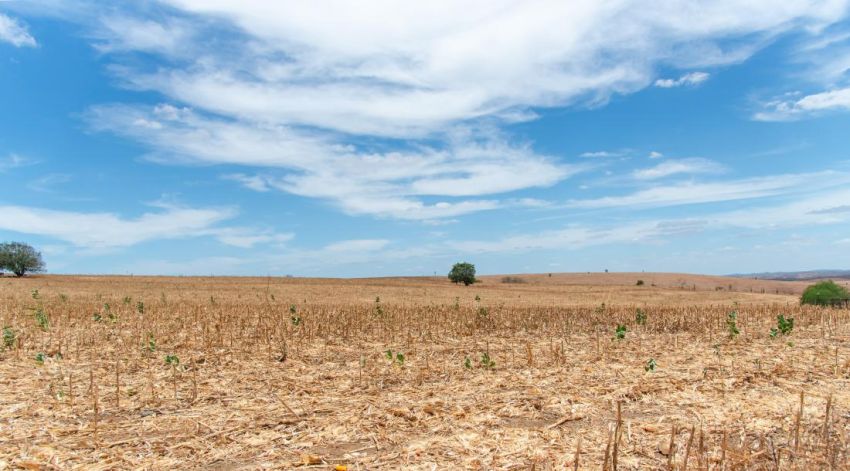 Previsão indica semana de sol e altas temperaturas em Sergipe